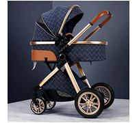 Poussette pour nouveau-né, 2 en 1 réglable, haute vue, poussette améliorée pour bébé, poussette pour tout-petits avec housse de pluie, moustiquaire, chancelière (couleur : bleu)