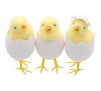 poussin jaune dans coquille oeuf 5x9cm - chaks 12705 Jaune G
