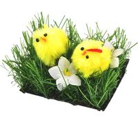 Poussins dans l'herbe avec des fleurs