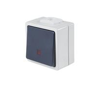 Poussoir AS SCHWABE 10 A, gris/bleu, lumineux AS SCHWABE - 62453