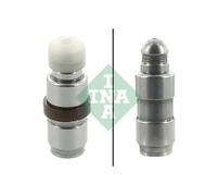 INA Composants moteur 420009010