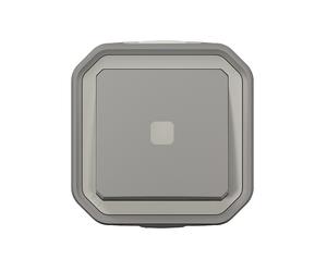 Poussoir temporisé étanche lumineux complet Plexo 1 poste gris Legrand