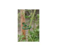 POUSS'VERT-Lot de 6 attaches pour tuteur - couleur vert
