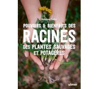 Pouvoirs & bienfaits des racines des plantes sauvages et potagères - Pommades, teintures, infusions,