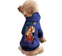 Povhhee Hepa Lot de 10 filtres éponge pour aspirateur V8 V8S X750 X800 X785 V80