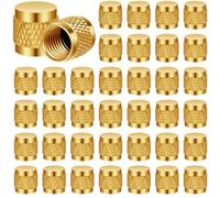 Povxlum Lot de 25 bouchons de valve ronds 1/4 en laiton avec joint torique en néoprène