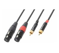 Power Dynamics PD Connex Câble Audio Cordon 2x XLR Femelle - 2x RCA Mâle - 6m - Idéal pour Relier vos Enceintes de Sonorisation