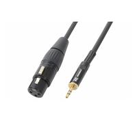 Power Dynamics PD Connex Câble Audio Cordon XLR F/Jack 3,5 m Stéréo - 0,5m - Idéal pour Relier vos Enceintes de Sonorisation