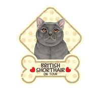 power gift British Shorthair - Panneau pour Pare-Brise avec Ventouse- Mon Chat est à Bord. Plaque signalétique pour Tous Type véhicule. Chat à Bord, en Ballade, on Tour.