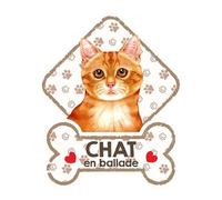 power gift Chat Roux - Panneau pour Pare-Brise avec Ventouse- Mon Chat est à Bord. Plaque signalétique pour Tous Type véhicule. Chat à Bord, en Ballade, on Tour.