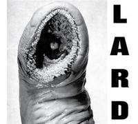 Power of Lard