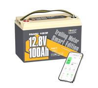 Power Queen 12V 100Ah Batterie Lithium Bluetooth LiFePO4 avec 100A BMS et la Protection de Basse Température, pour Moteurs de Bateau, Système Solaire Domestique, Camping-Cars, Caravanes