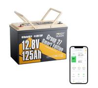 Power Queen 12V 125Ah Bluetooth Batterie Lithium pour Camping-Car Caravane | Groupe 27, 1600Wh, BMS 100A, Protection à Basse Température, IP65 Étanche, 15000 Cycles, Système Off-Grid, Moteur à la traîne