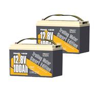 Power Queen 2 Pack 12V 100Ah Batterie Lithium Bluetooth LiFePO4 avec 100A BMS et la Protection de Basse Température, pour Moteurs de Bateau, Système Solaire Domestique, Camping-Cars, Caravanes