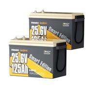 Power Queen 2 Pièce 25.6V 125Ah Batterie Lithium Bluetooth Auto-Chauffage, BMS 125A 3200Wh Énergie Batterie LiFePO4, IP67 Étanche 15000+ Cycles Profonds, pour Moteur Électrique Bateau, Camping-Car