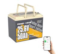 Power Queen 24V 50Ah Batterie Lithium Bluetooth Bateau, Protection Basse Température Batterie LiFePO4 15000+ Cycle Profond, 1280Wh Energie pour 24V Moteur de Bateau Electrique 100LBS Yacht Marine