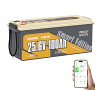 Power Queen 25,6V 100Ah Batterie Lithium Bluetooth pour Marine Bateau | BMS 100A, 2560Wh d'énergie, 15000 Cycles, IP65 Étanche, Protection à Basse Température, pour Moteur Électrique, Camping-car