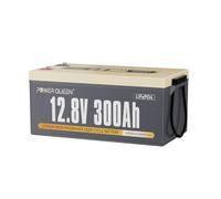 Power Queen Batterie Lithium 12V 300Ah 3840Wh Batterie LiFePO4 Rechargeable BMS 200A Intégré, Battery au Lithium Puissance de Sortie 2560W Jusqu'à 15000+ Cycles pour Solaire Marine RV Hors Réseau