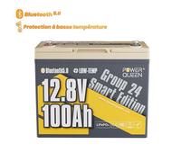 Power Queen Batterie Lithium 12V100Ah LiFePO4 Bluetooth 100A BMS - 1280Wh -Taille Groupe 24 -pour camping -car, hors réseau