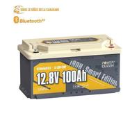 Power Queen Batterie Lithium LiFePO4 12V100Ah Sous Siège de Fourgon Bluetooth5.0 H188mm , panneaux solaire, hors réseau,