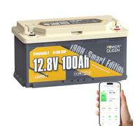 Power Queen Bluetooth Batterie Lithium 12V 100Ah Batterie LiFePO4 avec Protection Low-Temp, Sièges de Camping-Car DIN H8 L5 Taille Groupe 49, BMS Smart 100A,15000 Cycles pour Caravane Bateau Solaire
