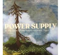 Power Supply - In the Time of the Sabre-Toothed Tiger