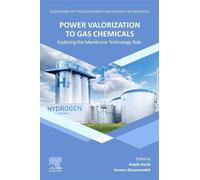 Power Valorization to Gas Chemicals: Exploring the Membrane Technology Role