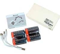 PowerSmart 4 x Port USB de type C 1,5 V 5000 mWh Batterie rechargeable Li-Ion