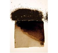 Powertex Bistre Noir 40ml