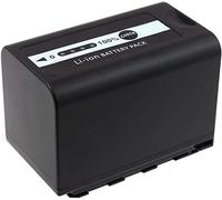 Powery Batterie pour Panasonic Type VW-VBD29