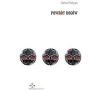 Powrót bogów - Artur Pałyga (Buch auf Polnisch)
