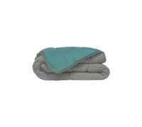 HUDSON Couette legere Microfibre 200g/m2 220x240cm Galet + Lac