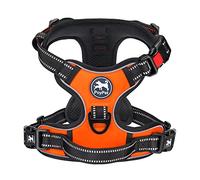 PoyPet Harnais pour chien anti-traction avant - Gilet réfléchissant pour animaux avec poignée de contrôle facile et arrière - Parfait pour l'entraînement quotidien, la marche, la course (Orange, XL)