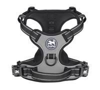 PoyPet Harnais pour chien No Pull, harnais réfléchissant avec 2 attaches de laisse et poignée de commande simple pour chiens de petite et moyenne taille (Gris, S (Pack de 1))