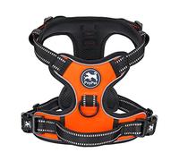 PoyPet Harnais pour chien No Pull, harnais réfléchissant avec 2 attaches de laisse et poignée de contrôle simple pour petits chiens de taille moyenne (Orange, XS (Pack de 1))