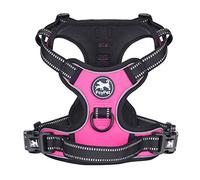 PoyPet Harnais pour chien No Pull, harnais réfléchissant avec 2 attaches pour laisse et poignée de commande simple pour chiens de petite et moyenne taille (Rose, L (Pack de 1))
