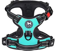 PoyPet Harnais pour chien sans pull - Réfléchissant - Avec poignée de contrôle facile et dos - Parfait pour l'entraînement quotidien, la marche, la course à pied (bleu menthe, XL)