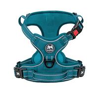 PoyPet Harnais pour chien sans tracas - Accessoire pour chien Réfléchissant - Gilet rembourré et doux - Avec poignée Easy Control - Pour chiens de petite à grande taille (Tumalo Teal, XS)