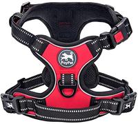 PoyPet Harnais pour chien sans tracas - Réfléchissant - Gilet rembourré et doux - Avec poignée Easy Control - Pour petits et grands chiens (rouge, XS)