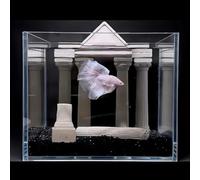 PP-Vic Aquarium Rétro HD pour Poissons Betta, Aquariums en Verre HD pour Poissons Betta, Bol Professionnel pour Poissons Rouges Betta, Aquarium Compact Transparent Vintage, Aquarium De Style Palais