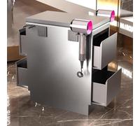 PP-Vic Boîte À Outils En Acier Inoxydable, Armoire De Salon De Beauté Pour Coiffeurs, Chariot À Outils De Coiffure Avec Tiroirs, Armoire De Rangement De Garage, Armoire,Double layer d silver