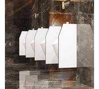 PP-Vic Ensemble De 2 Cloisons D'urinoir, Cloisons De Salle De Bain Au Sol, Paravents De Toilettes Avec Ferrures En Acier Inoxydable, Paravents D'urinoir Muraux, Adaptés Aux Lieux Publics,Blanc