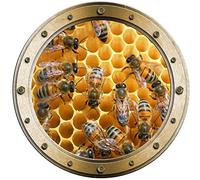 PPA DESIGN SATOHU505 - Sticker Trompe l'oeil Hublot Ruches Abeilles (60x60cm)