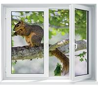 PPA DESIGN Sticker Fenêtre Trompe l'oeil Ecureuil sur l'arbre- SATOFE0271 (30x25cm)