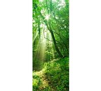 PPA DESIGN Sticker Porte Trompe l'oeil Nature Forêt - SAPP7111 (63x204cm)