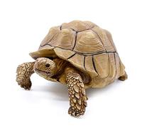 PPCLION Statue de Tortue Sulcata - Figurine - Collection - Décorations Cadeaux