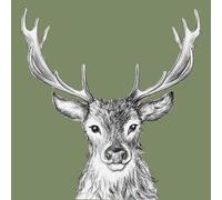 PPD Paul le cerf Lot de 20 serviettes en papier avec motif animaux Vert 33 x 33 cm Convient également pour le découpage et la technique des serviettes