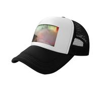PPHGUT Casquette de baseball respirante Niagara Falls pour la pêche, le golf, la plage, les sports de plage, tendance et confortable, Noir , Taille unique