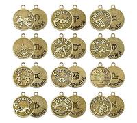 Ppmter 12 Constellations Signe De Zodiaque Pendentifs Charms, 84 Pcs Rond Signes Zodiac Signes Astrologie Horoscop Charms Pendentifs Pendentifs pour Bijoux DIY Fabrication D'artisanat