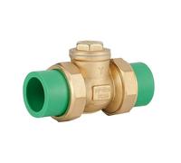 PPR Tuyau PE Tuyau d'eau Clapet Anti-retour Raccord de tuyau d'eau Compteur d'eau Robinet Compteur d'eau Tube Laiton DN20 DN25 DN50 Tuyau de connexion (32 mm PPR Blanc)